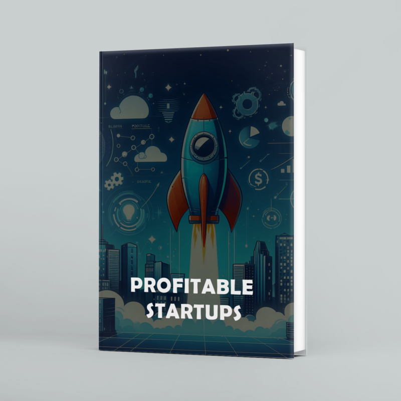 Profitable startup